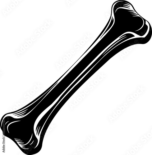 Long human bone illustration with detailed shading and contour lines showing structure and texture