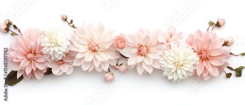 Pastel flower arrangement on white background