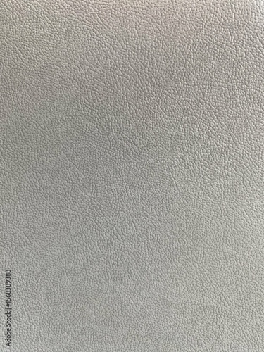 Close-up of a White Leather Texture