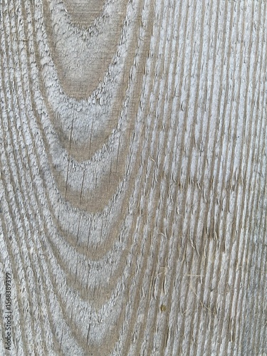 Close-up of weathered wooden plank showing intricate grain and knot details