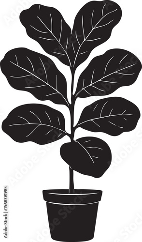 Fiddle Leaf Fig Plant Silhouette: Minimalist Black and White Botanical Illustration for Home Decor, Branding, and Lifestyle Designs.