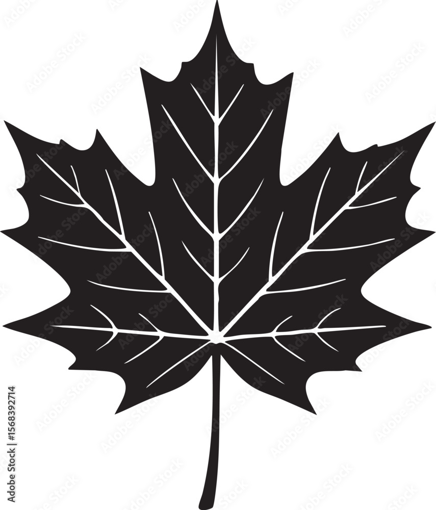 Naklejka premium Bold Black Silhouette Maple Leaf: Autumnal Design Element, Simple Nature Icon, Vector Graphic Illustration.