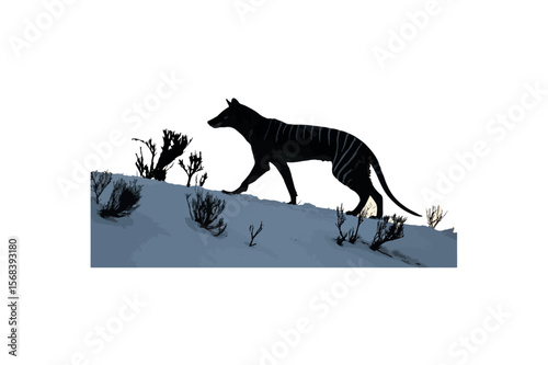 Tasmanian Silhouette On White Background.01