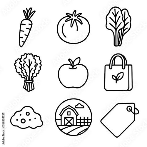 Organic Produce Icons. Line style icons of Organic Produce Bins: organic carrot, heirloom tomato, rainbow chard, kale bunch,