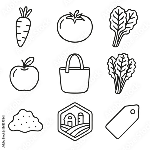 Organic Produce Icons. Line style icons of Organic Produce Bins: organic carrot, heirloom tomato, rainbow chard, kale bunch,