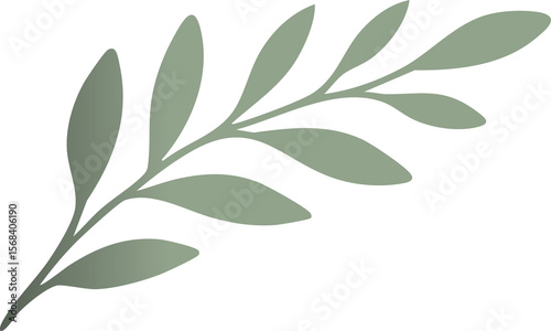 A simple flat illustration of a muted green botanical branch with stylized oval leaves on a black background.