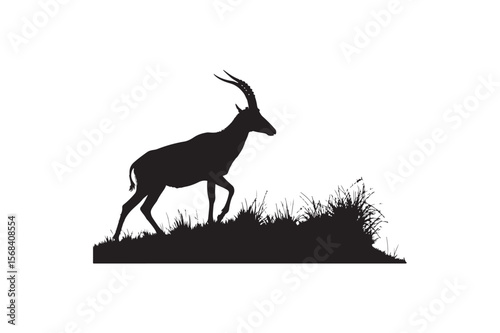 Turban Antelope Silhouette On White Background.01