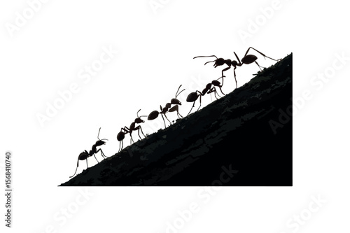 Troop Ant Silhouette On White Background.01