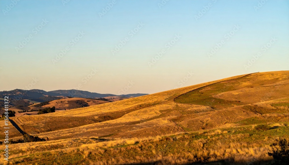 Fototapeta premium Golden Hour Landscape of Rolling Hills