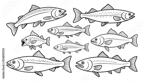 Hand-Drawn Fish Vector Collection – Marlin, Bass, and Trout Illustrations for Fishing Logos, T-Shirt Graphics, Outdoor Gear, and Nature-Inspired Design Projects

