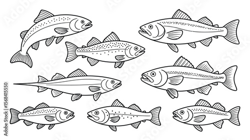 Fish Vector Set – Hand-Drawn Illustrations of Trout, Bass, and Marlin for Fishing Logos, T-Shirts, Stickers, and Outdoor or Wilderness Design Concepts