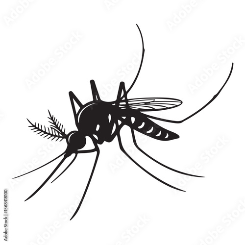 Isolated on white, this macro close-up captures a mosquito, a small blood-sucking insect and common pest