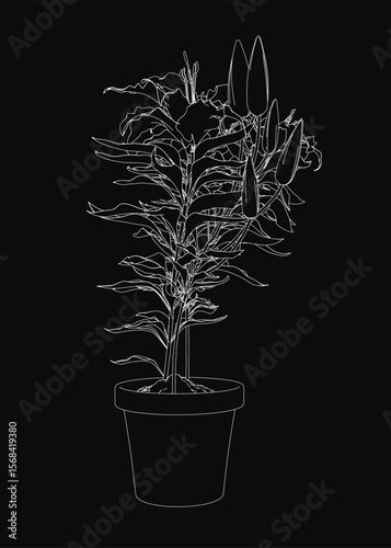 A black and white sketch of a potted plant with detailed leaves and stems, drawn in a minimalist style on a dark background. The monochrome artwork highlights the delicate contours of the flower.