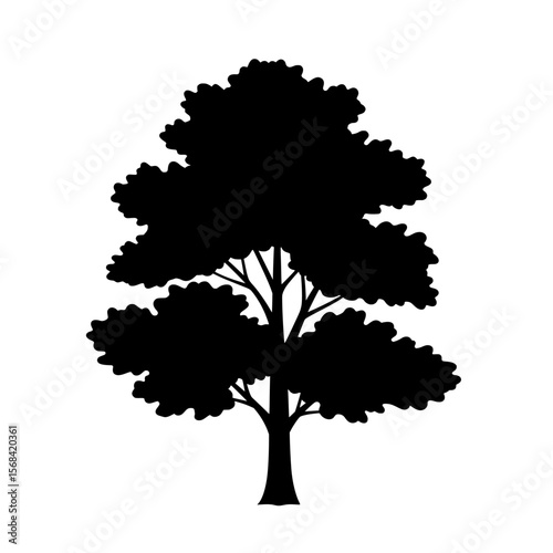 vector tree silhouette. A striking black silhouette of a deciduous tree with a full textured canopy of leaves and visible branches isolated on a transparent background silhouette isolated on transpare