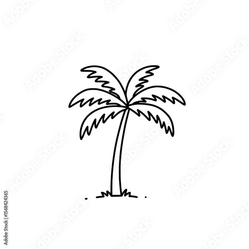 Palm Tree Silhouette: A clean, elegant silhouette of a palm tree, evoking the simplicity and serenity of tropical landscapes.