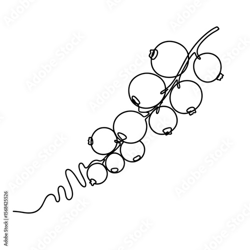 Abstract line art of grapevine with round grapes and tendrils  