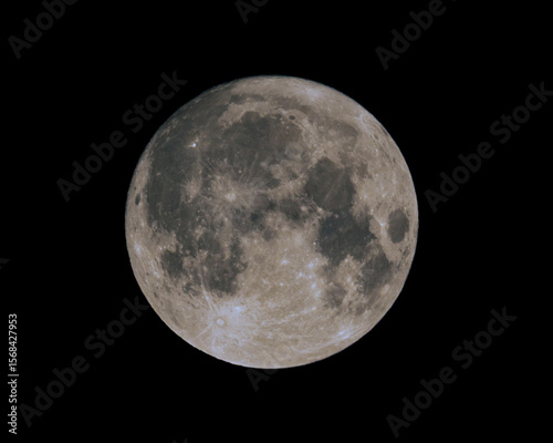 Fototapeta Naklejka Na Ścianę i Meble -  full moon over black skies