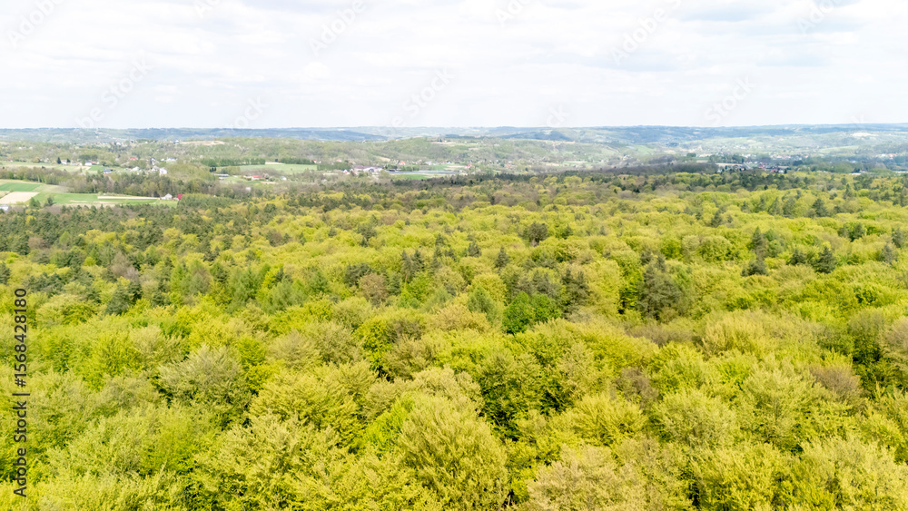 Obraz premium Aerial view of a lush green forest landscape under a bright sky, showcasing the vibrant leaves of deciduous trees in springtime, enhancing natural beauty and tranquility.