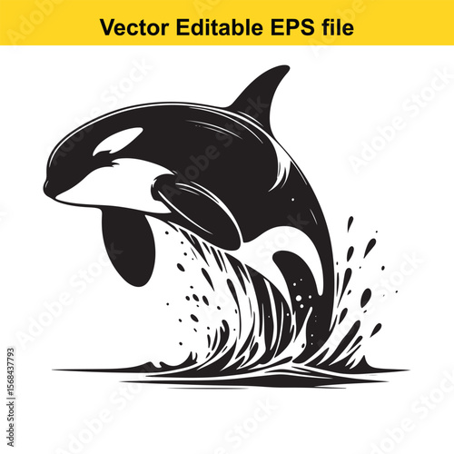 Majestic Orca Leaping Gracefully From the Ocean, Vector Illustration of Marine Wildlife