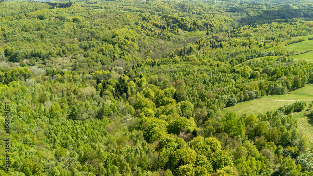 Obraz premium Aerial view of lush green forests and rolling hills on a sunny day, showcasing diverse tree species and expansive natural landscapes in spring season.