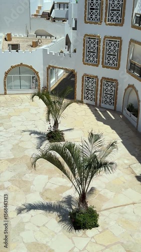 Courtyard featuring palm trees casting shadows on stone pavement, surrounded by whitewashed buildings with intricate window designs, creating a serene and inviting atmosphere for relaxation and leisur