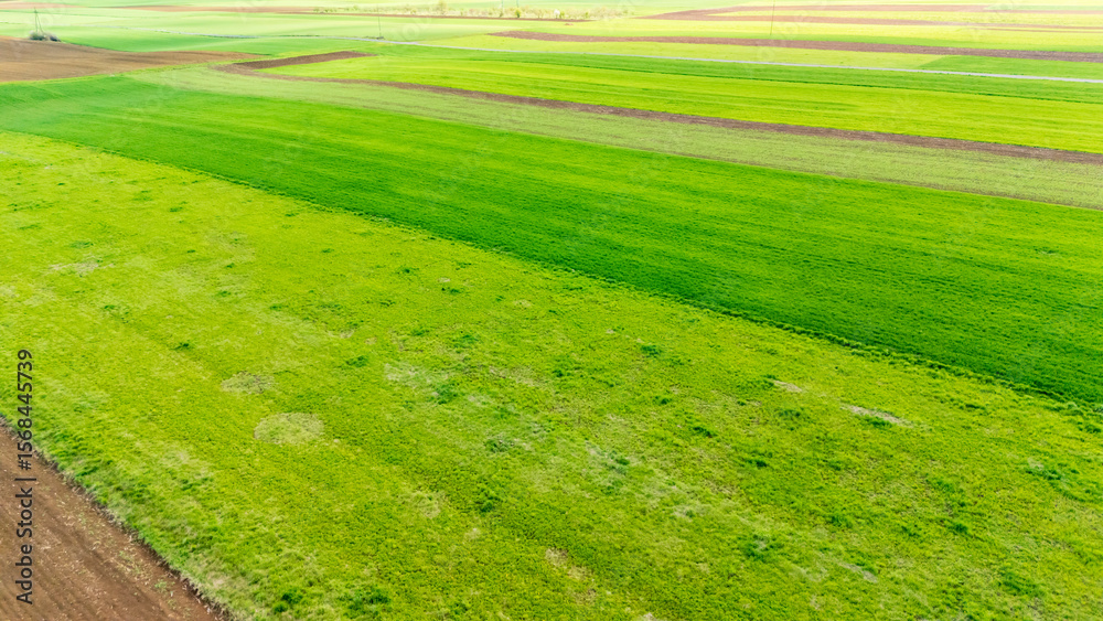 Obraz premium Aerial view of vibrant green farmland with varying shades of grass, showcasing agricultural fields and rich textures under bright sunlight in springtime.