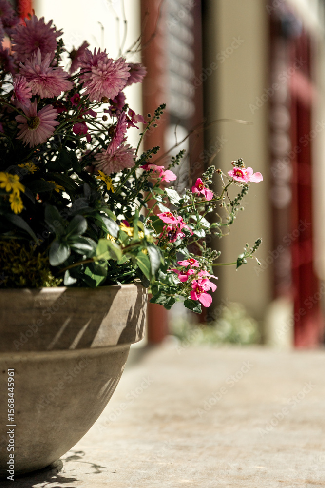 Fototapeta premium A close-up view of vibrant flowers in a stone pot basking in soft sunlight, with a blurred street background, ideal for spring or floral-themed projects