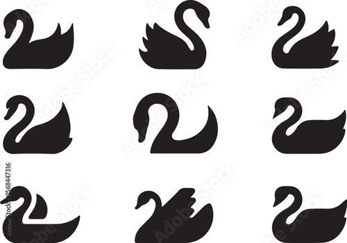 Black swan silhouettes elegant graceful water birds swans white background