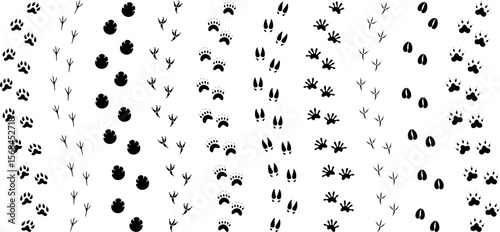 Paw print silhouette. Isolated paw print on white background