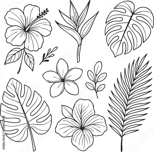 Tropical botanical line art set, hand drawn hibiscus flowers and palm leaves illustration, black and white minimal doodle floral sketch