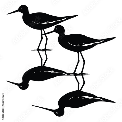Black shorebirds reflected in water silhouette reflection