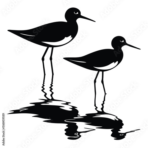 Black shorebirds standing in water with reflections silhouette