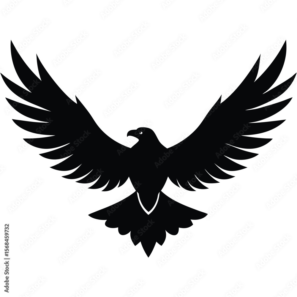 Obraz premium Black silhouette eagle soaring with wings spread wide bird flying