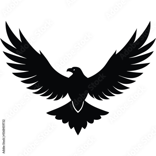 Black silhouette eagle soaring with wings spread wide bird flying