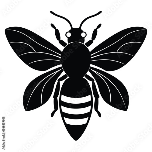 Black silhouette of a bee with detailed wings and striped abdomen insect white