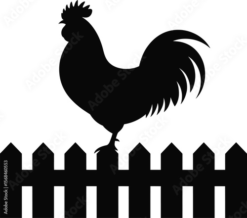 Black silhouette of a rooster standing on fence on white background.eps