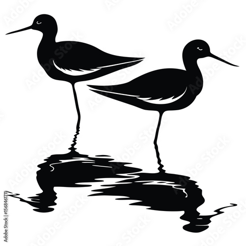 Black silhouettes of two shorebirds standing in water with reflections vector