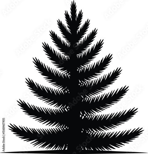 Black silhouette of a pine tree on white background (1).eps