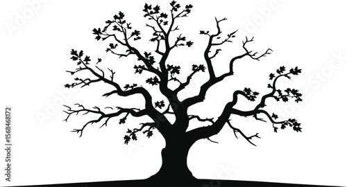 Black silhouette of a single tree on white background (3).eps