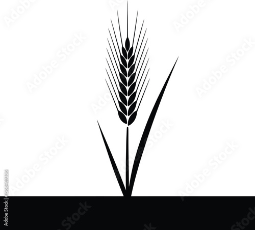 Black silhouette of a wheat stalk on white background (3).eps