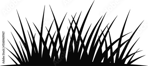 Black silhouette of grass blades on white background (2).eps