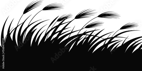 Black silhouette of wind-blown grass on white background (2).eps
