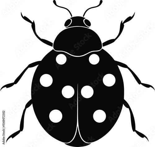 ladybug vector