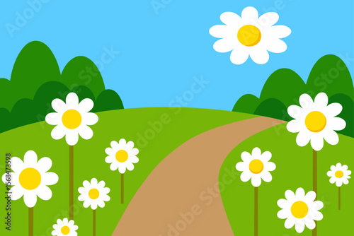 Summer Meadow Trail With Daisies Tall Grass And Clear Sky
