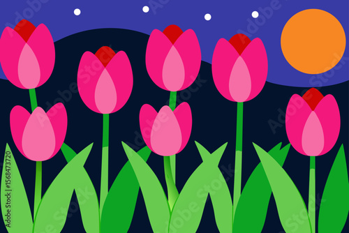 Night Blooming Tulips Colorful Dutch Spring Field