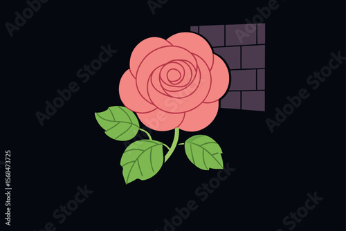 Night Blooming Rose Creeper Building Photography