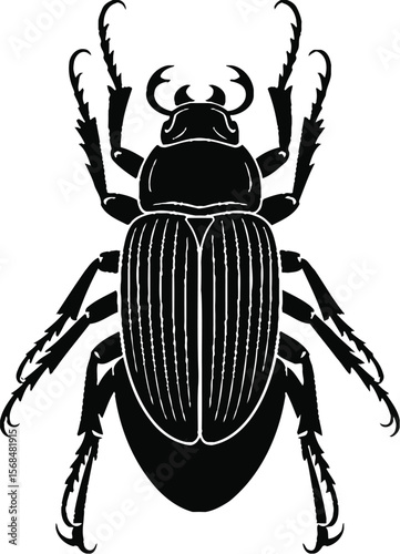Black silhouette of a beetle crawling (1) [Converted].eps
