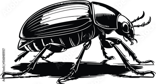 Black silhouette of a beetle crawling (2) [Converted].eps