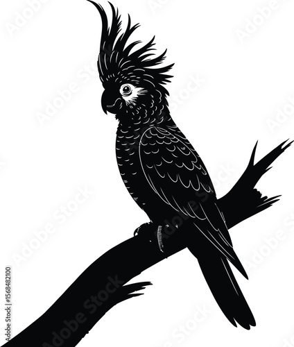 Black silhouette of a cockatoo perched [Converted].eps