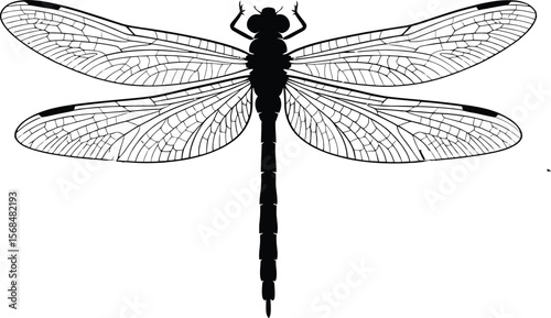 Black silhouette of a dragonfly hovering (1) [Converted].eps